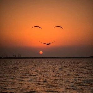 Meet your Posher, Jane